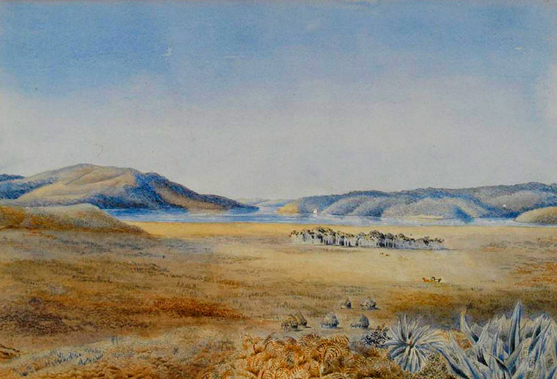 Dunedin c1849 by Catherine Valpy at Toitū Otago Settlers Museum